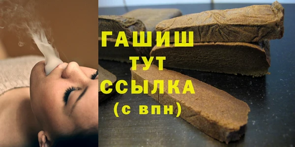 хмурый Абаза