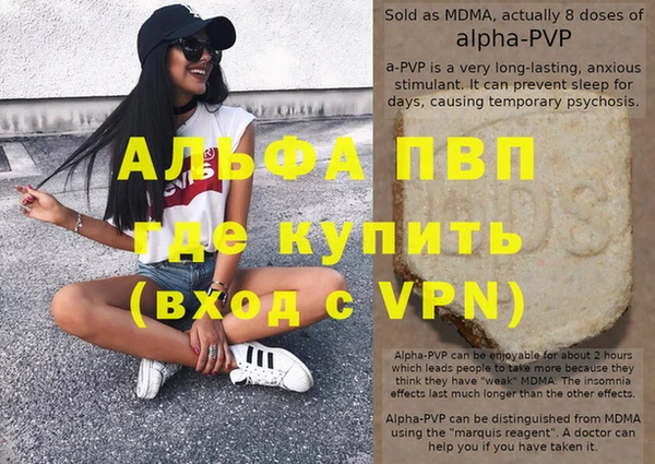 хмурый Абаза