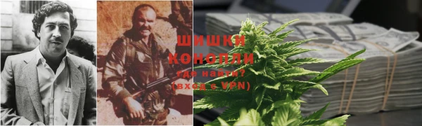 ГАЛЛЮЦИНОГЕННЫЕ ГРИБЫ Абинск
