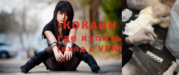 хмурый Абаза