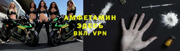 прущие грибы Лиски