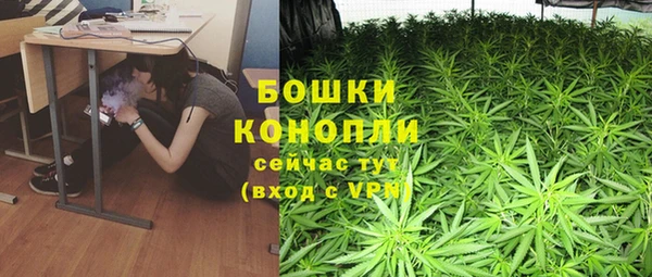 хмурый Абаза