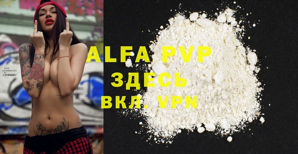 хмурый Абаза