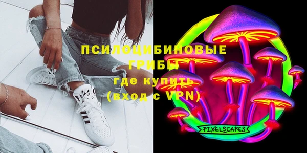 ГАЛЛЮЦИНОГЕННЫЕ ГРИБЫ Абинск