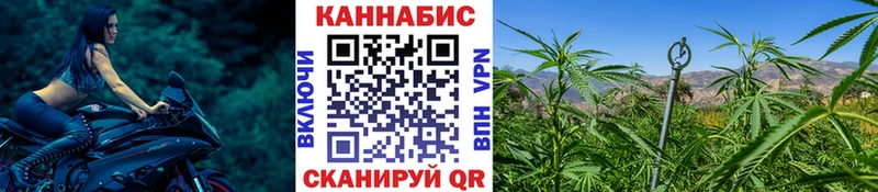 Бошки марихуана план маркетплейс наркотические препараты Шахты kraken зеркало